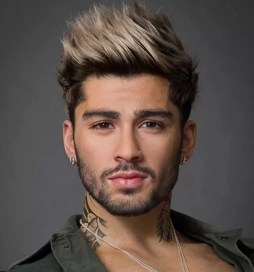 Zayn Malik Music Artist Profile